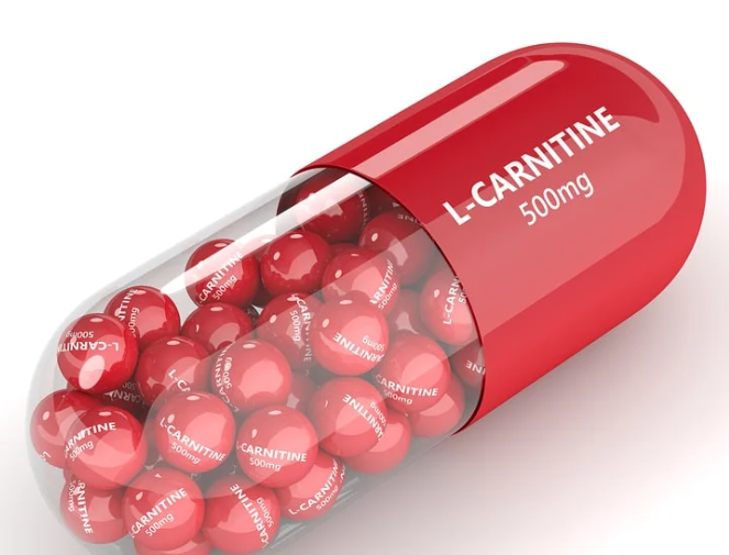 Is l carnitine good for fatty liver.png